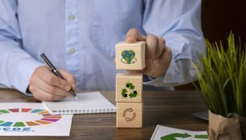 Pequenos Negócios Verdes Crescem 20% em Cinco Anos no Brasil