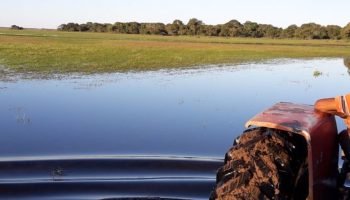 Área da propriedade onde funcionário desaparecido deveria ter chegado — Foto: Ár