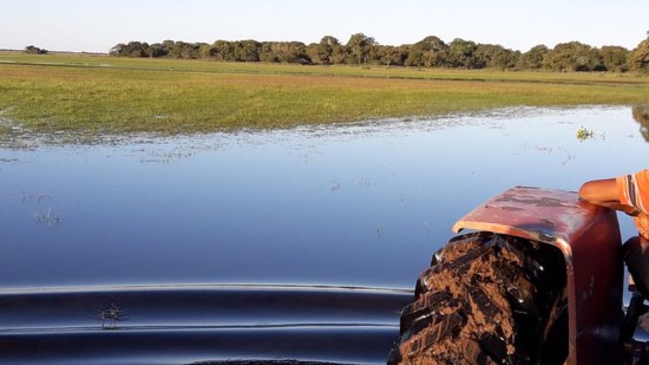 Área da propriedade onde funcionário desaparecido deveria ter chegado — Foto: Ár