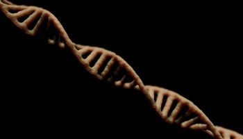 Cientistas sequenciam genoma mais antigo já encontrado