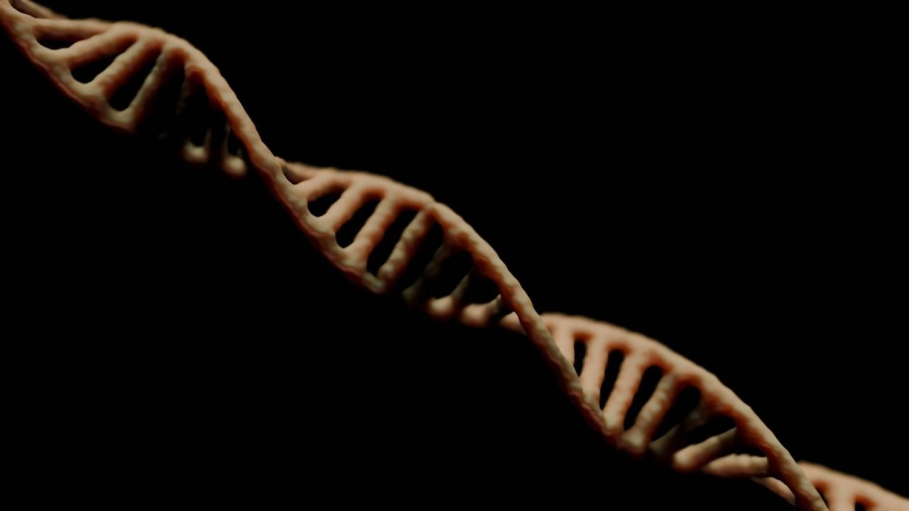 Cientistas sequenciam genoma mais antigo já encontrado