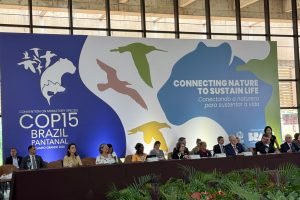 governo-define-metas-para-cop15-em-campo-grande-2