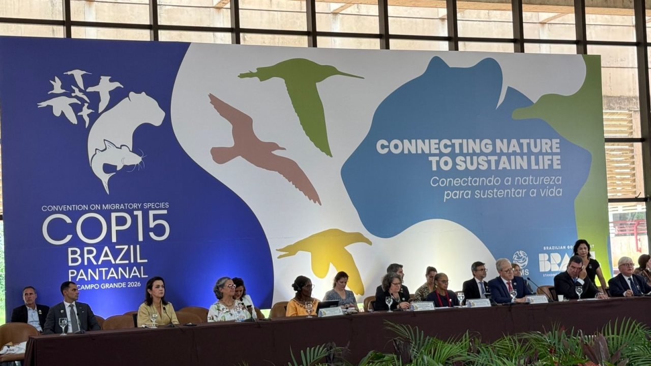 governo-define-metas-para-cop15-em-campo-grande-2