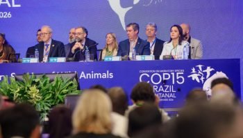 hospitalidade-campo-grande-destaca-cop15