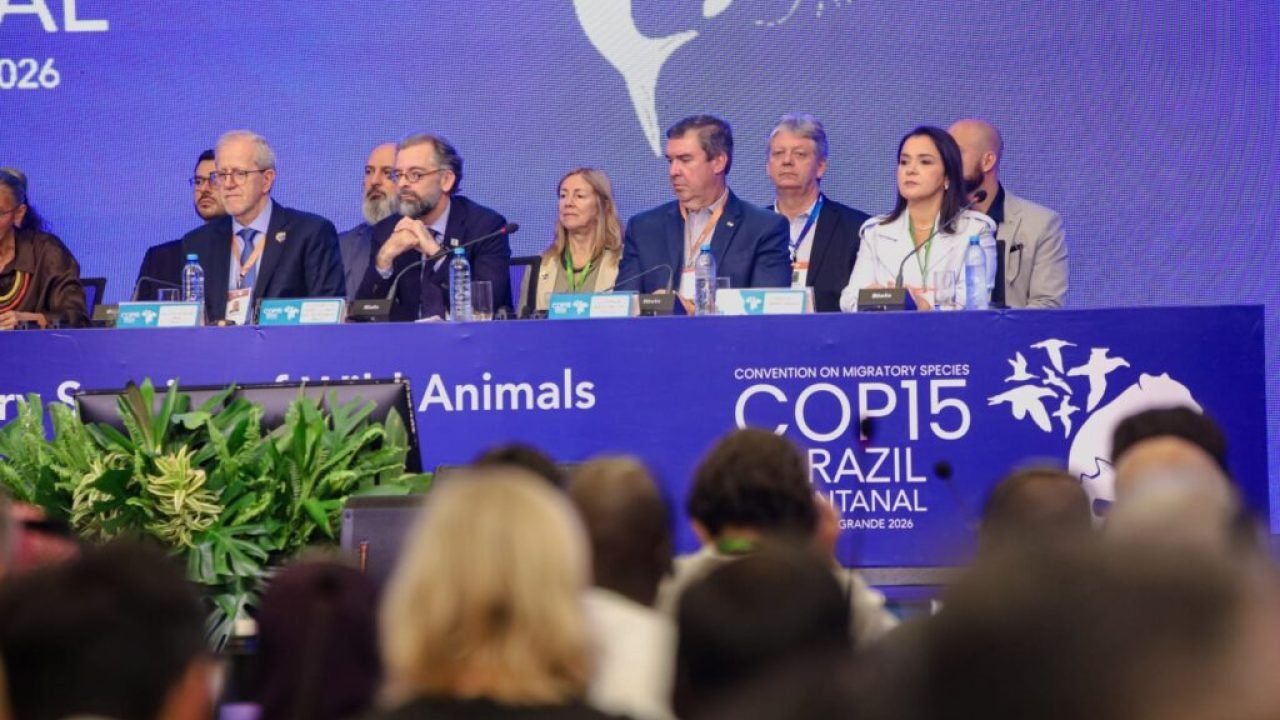 hospitalidade-campo-grande-destaca-cop15