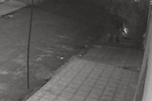 Foto: Homem registrado em câmera de segurança - Foto: Fala Povo, Jornal Midiamax