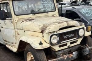 leilao-bandeirante-730x480-1