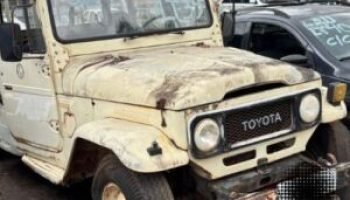 leilao-bandeirante-730x480-1