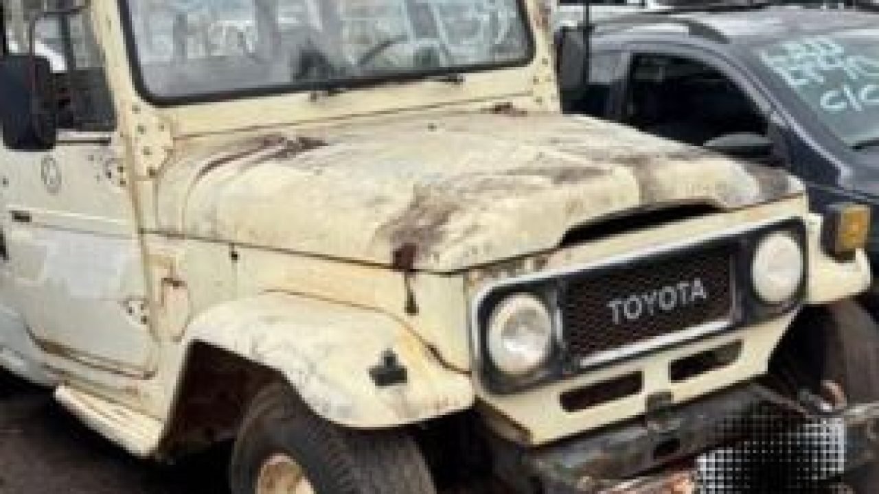 leilao-bandeirante-730x480-1