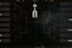 libertadores