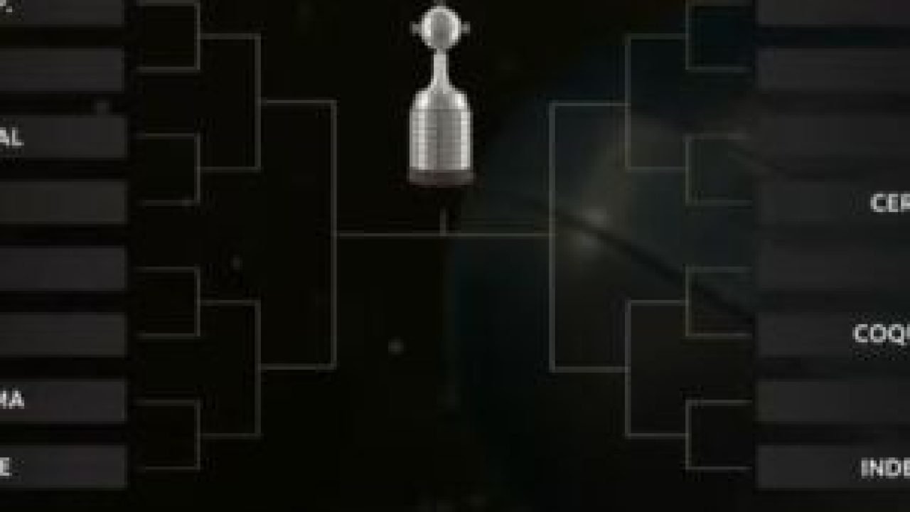 libertadores