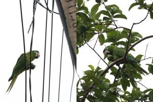 Foto: Imagem ilustrativa. (Madu Livramento, Jornal Midiamax)