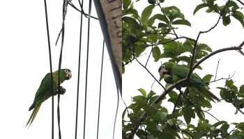 Foto: Imagem ilustrativa. (Madu Livramento, Jornal Midiamax)