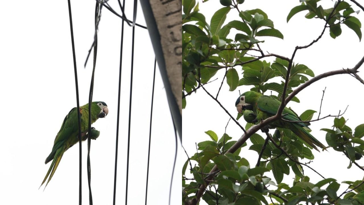 Foto: Imagem ilustrativa. (Madu Livramento, Jornal Midiamax)