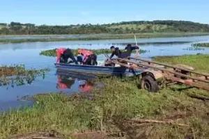 mergulhadores