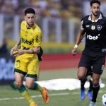 mirassol-e-botafogo-750x450-1