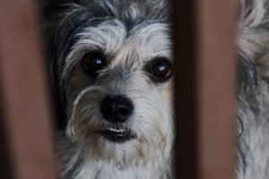 Foto: Imagem ilustrativa (Foto: Madu Livramento, Jornal Midiamax)