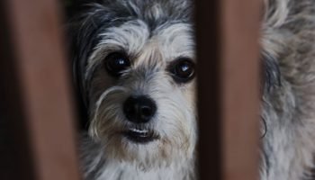 Foto: Imagem ilustrativa (Foto: Madu Livramento, Jornal Midiamax)