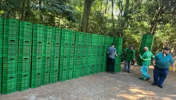 navirai-recebe-200-jogos-de-lixeiras-2
