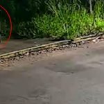 Foto: O idoso foi abordado em um ponto de ônibus. (Reprodução, Câmera de Seguran