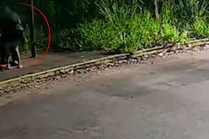 Foto: O idoso foi abordado em um ponto de ônibus. (Reprodução, Câmera de Seguran