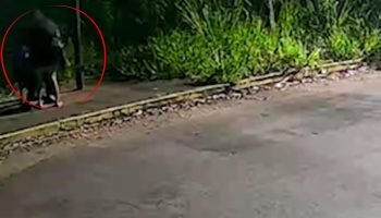 Foto: O idoso foi abordado em um ponto de ônibus. (Reprodução, Câmera de Seguran