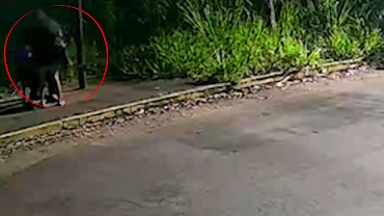 Foto: O idoso foi abordado em um ponto de ônibus. (Reprodução, Câmera de Seguran