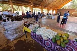 paa-indigena-dourados-avanca-seguranca-alimentar