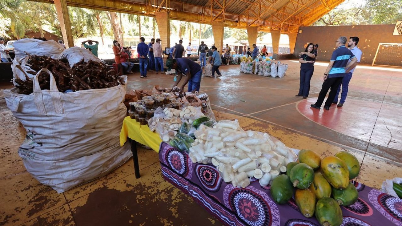 paa-indigena-dourados-avanca-seguranca-alimentar