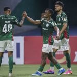 palmeiras-nas-oitavas-da-libertadores-750x450-1