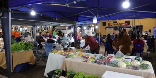 parque-ipes-dourados-programacao-especial