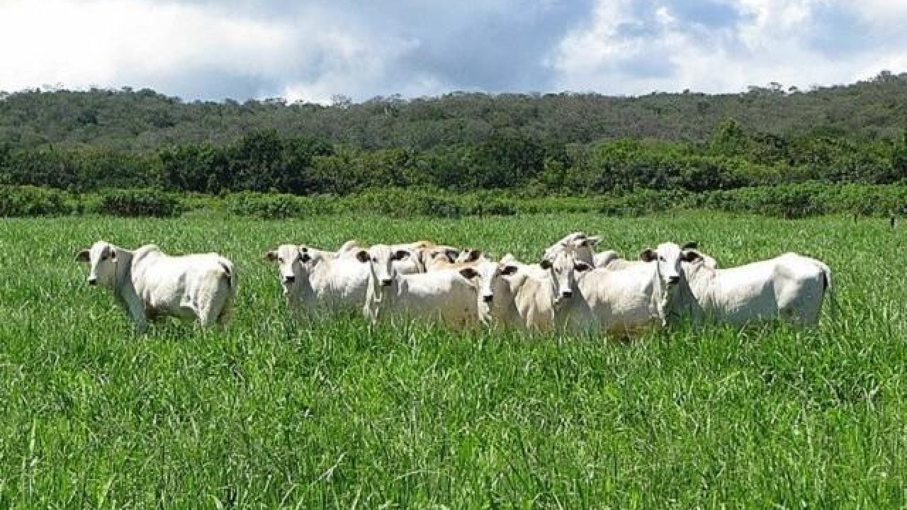 Foto: Imagem Ilustrativa