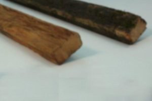 Idoso foi agredido com pedaço de madeira na cabeça. (Imagem Ilustrativa) — Foto: