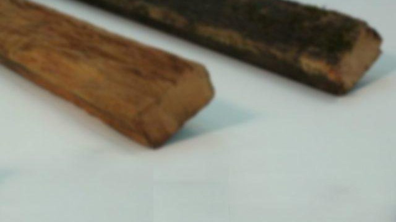 Idoso foi agredido com pedaço de madeira na cabeça. (Imagem Ilustrativa) — Foto: