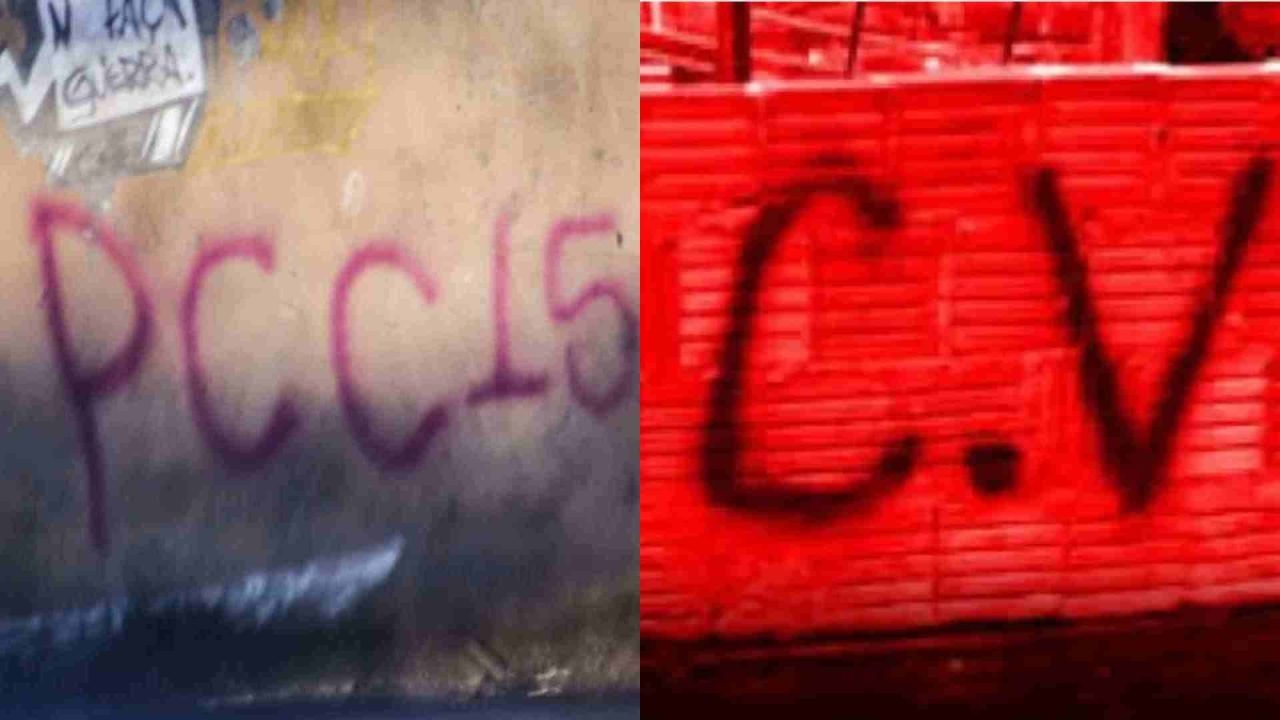 pcc-cv
