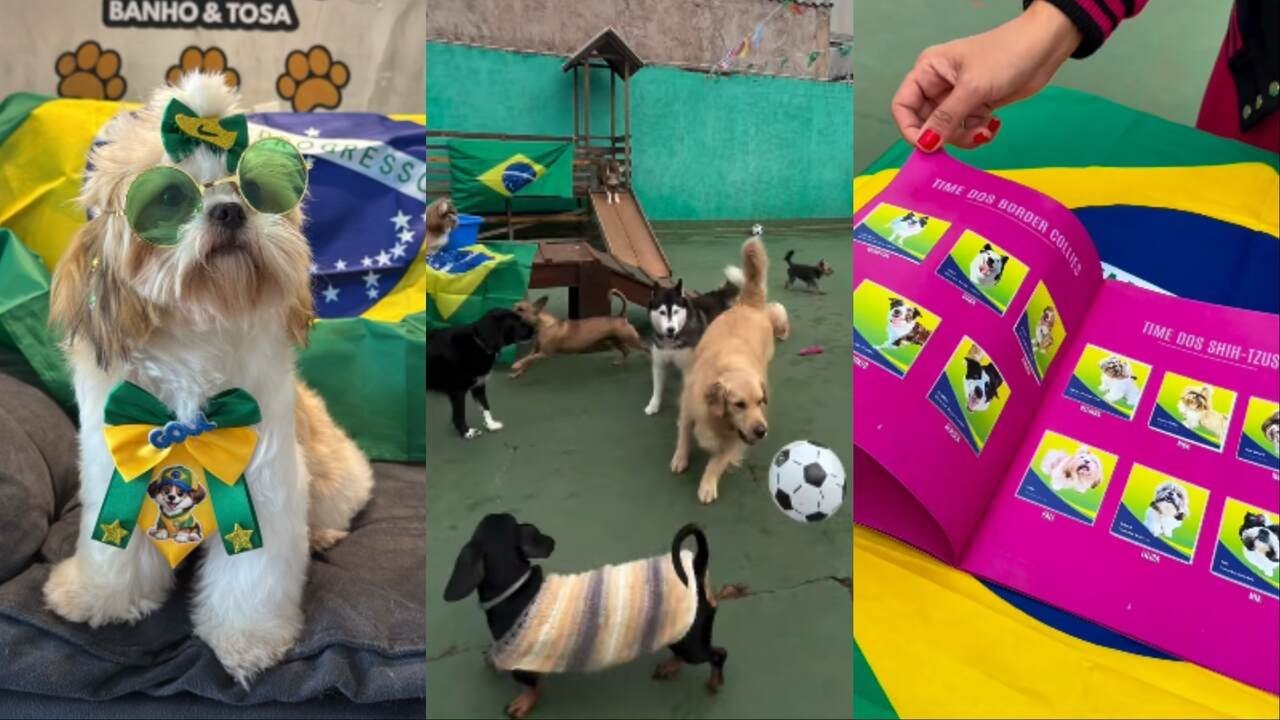 Tutores também colocam os pets na torcida. — Foto: Tutores também colocam os pet