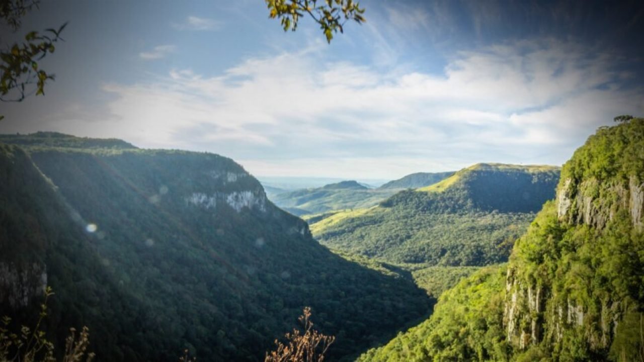 Preservação ambiental não prejudica economia nem desenvolvimento social