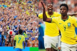 projeto-selacao-brasileira