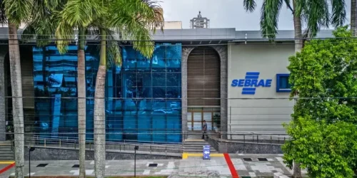 sebrae-ms-oferece-cursos-a-empreendedores-em-campo-grande