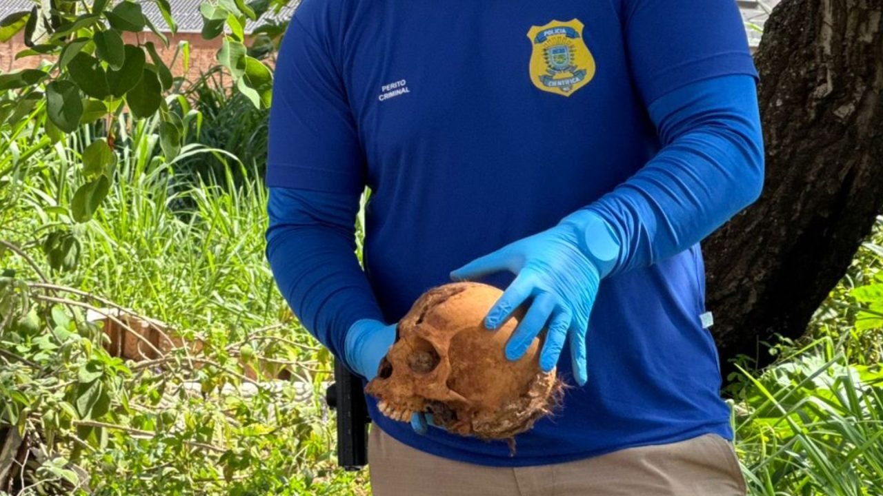 Crânio foi encontrado em um terreno baldio. — Foto: Crânio foi encontrado em um