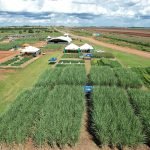 senar-ms-leva-inovacao-no-campo-a-tecnofam-em-dourados