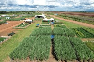 senar-ms-leva-inovacao-no-campo-a-tecnofam-em-dourados
