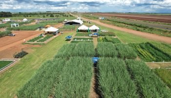 senar-ms-leva-inovacao-no-campo-a-tecnofam-em-dourados