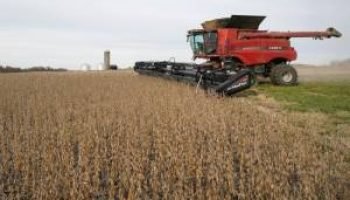 La Niña tem 75% de chance de se tornar neutro até março