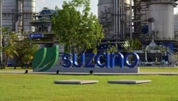 Unidade da Suzano. (Reprodução, Suzano) — Foto: Unidade da Suzano. (Reprodução,