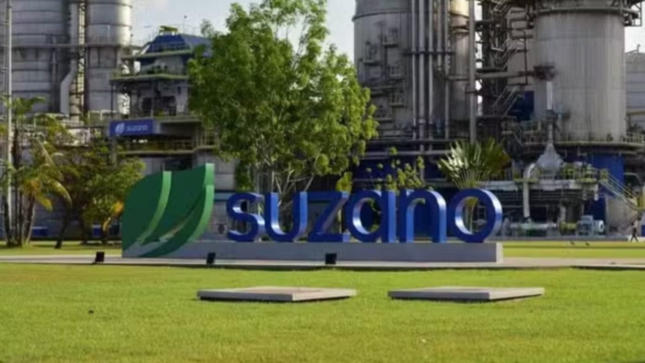 Unidade da Suzano. (Reprodução, Suzano) — Foto: Unidade da Suzano. (Reprodução,