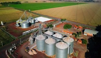 tecnologia-agronegocio-parana