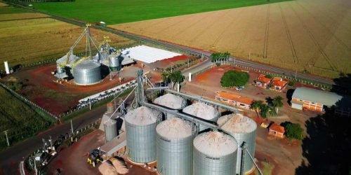 tecnologia-agronegocio-parana