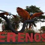 Foto: Acidente aconteceu na zona rural de Terenos, a 17 quilômetros de Campo Gra