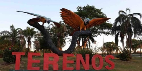 Foto: Acidente aconteceu na zona rural de Terenos, a 17 quilômetros de Campo Gra